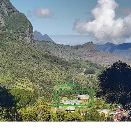 Olatika - Le Retour Aux Sources Hotel Cilaos Eksteriør billede